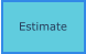 Estimate